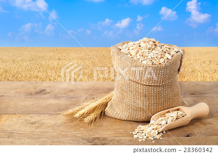 Oat flakes in sack with field on the background 28360342