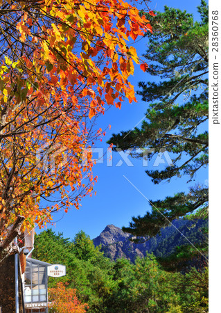 秋天 玉山國家公園 秋天 玉山國家公園 28360768