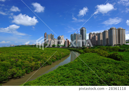 關渡 自然生態 建築 28361118