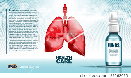 Digital vector red lungs structure infographics Digital vector red lungs structure infographics 28362083