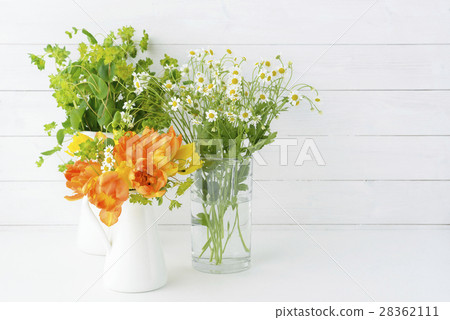 Bupleurum tulip Matrikalia spring flowers 28362111