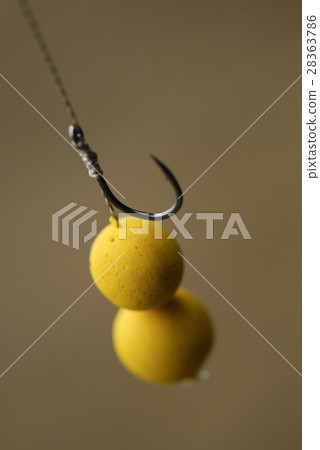 Fishing rig pop up in bait 28363786