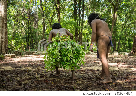 Vedda man hunting 28364494
