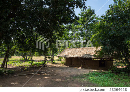 House of vedda people House of vedda people 28364638
