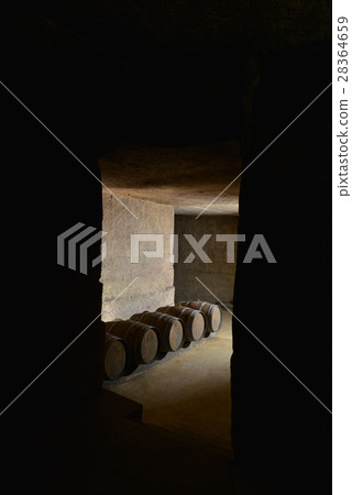 Barrels in Wine Cellar Barrels in Wine Cellar 28364659
