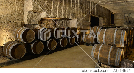 Barrels in Wine Cellar 28364695
