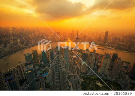 aerial view of shanghai at night  28365889