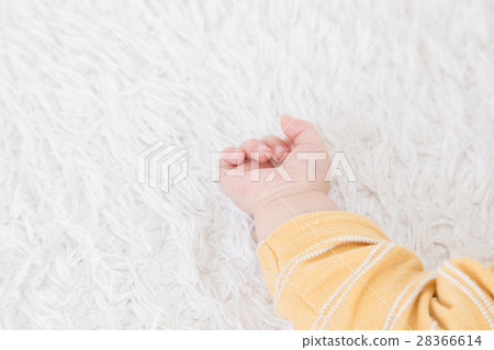 寶貝，手，身體部位 28366614