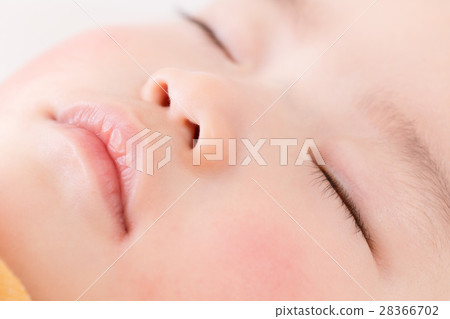 嬰兒，臉，身體部位，睡臉 28366702
