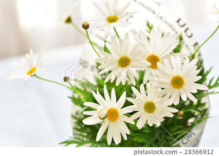 瑪格麗特的花束 瑪格麗特的花束 28366912