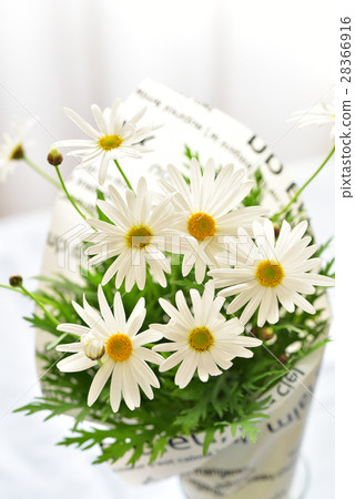 Bouquet of Margaret 28366916