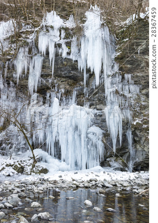 Ichigo Chichibu的三把錘子 28367459