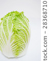 中國的白菜 28368710