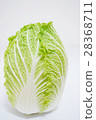 中國的白菜 28368711