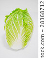 中國的白菜 28368712