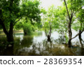 公園新鮮綠 28369354