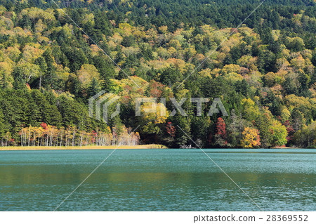 Autumn of Onneto 28369552