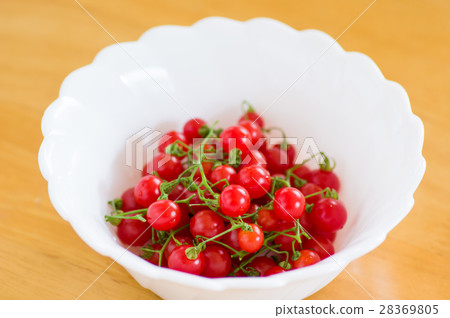 微番茄 微番茄 28369805