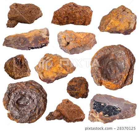 collection of various limonite stones 28370125