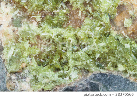 crystals of Vesuvianite on rock surface 28370566
