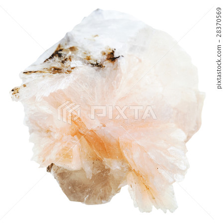 specimen of Thomsonite stone isolated 28370569