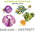 Watercolor vegetables isolated on white 28370977