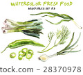 Watercolor vegetables isolated on white 28370978