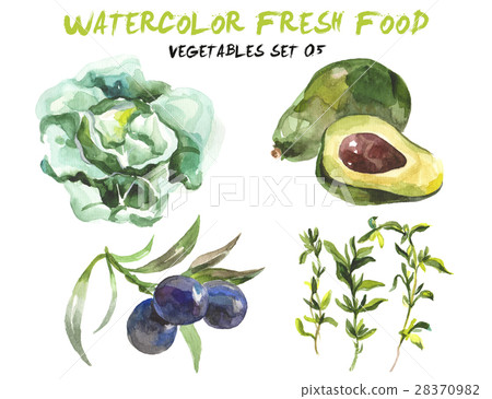 Watercolor vegetables isolated on white 28370982