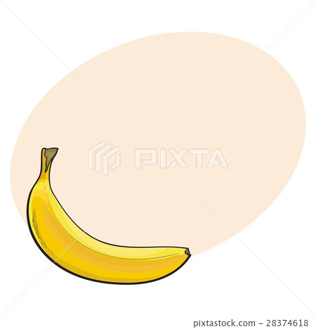 One unopened, unpeeled ripe banana, sketch style 28374618