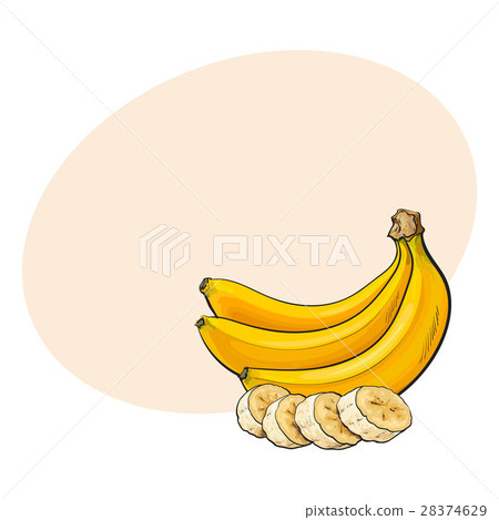 Fresh ripe delicious organic bananas bunch Vector Image