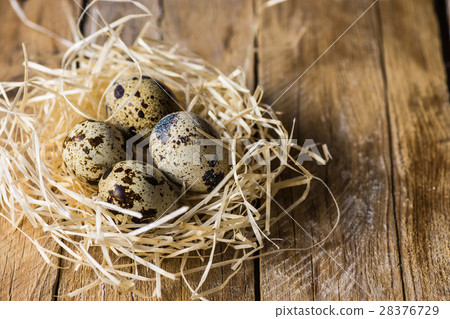 Quail eggs in a straw nest on barn wood,Easter 28376729