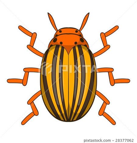 Colorado potato beetle icon, cartoon style 28377062