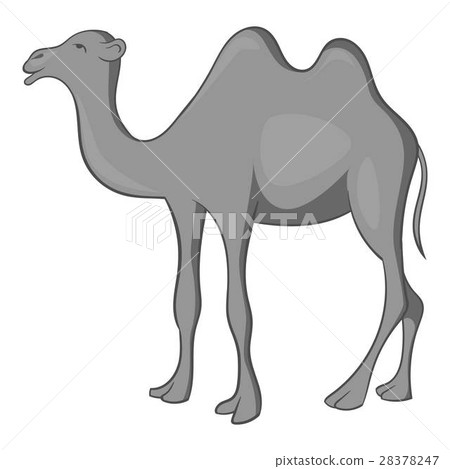 Camel icon, gray monochrome style Camel icon, gray monochrome style 28378247