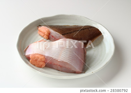 紅狐狸用魚卵 紅狐狸用魚卵 28380792