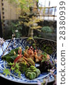 Kyoto Cuisine 01 28380939