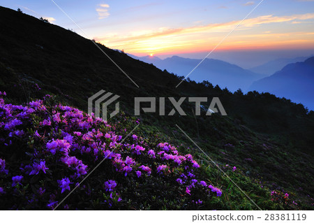 Hehuan Mountain scenery 28381119