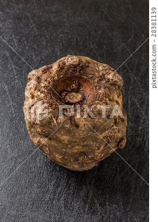 Konjac taro Japanese food konjac potato 28381139