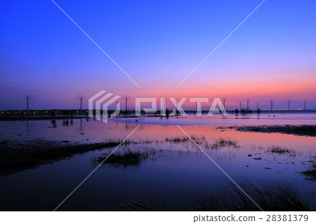 Gaomei Wetland 28381379