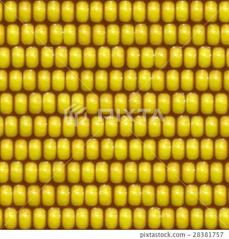 Bright and delicate sweet corn kernels closeup texture background (seamless connection, high resolution 3D CG rendering ∕ coloring illustration) 28381757
