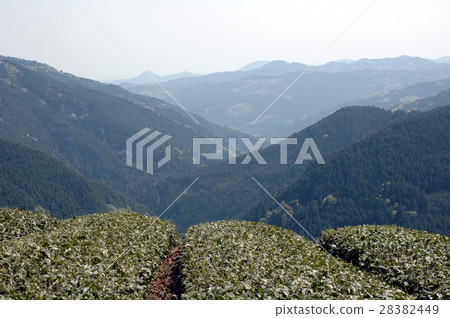 Tea in the sky 28382449