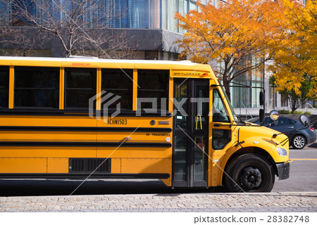 yellow school bus 28382748