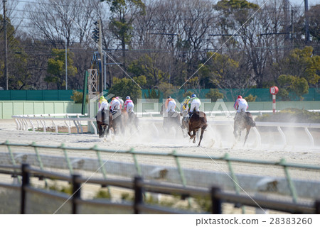 Horse racing first corner Horse racing first corner 28383260