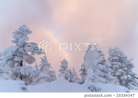 Winter in Shiga Highlands. 28384347