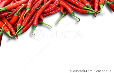 red chili peppers with white space 28384507