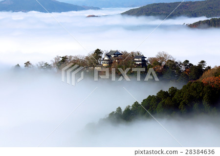 天空中的山城堡882 - ● 天空中的山城堡882 - ● 28384636