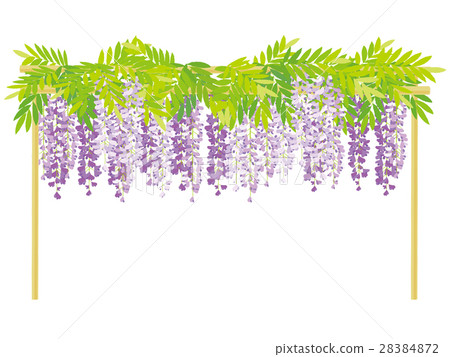 富士的插圖 28384872