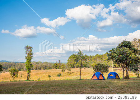 Tents at camping site in forest 28385189