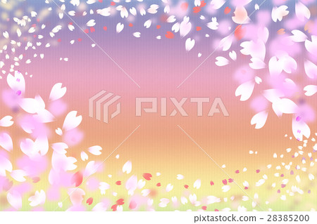 cherry blossom, cherry tree, sakura 28385200