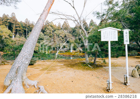 白蛇的金閣寺 28386218