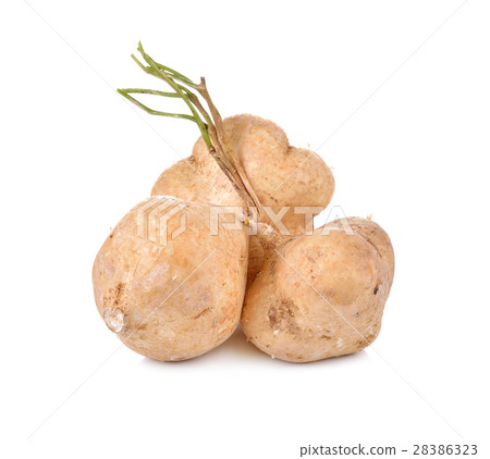 Jicama isolated on white background 28386323